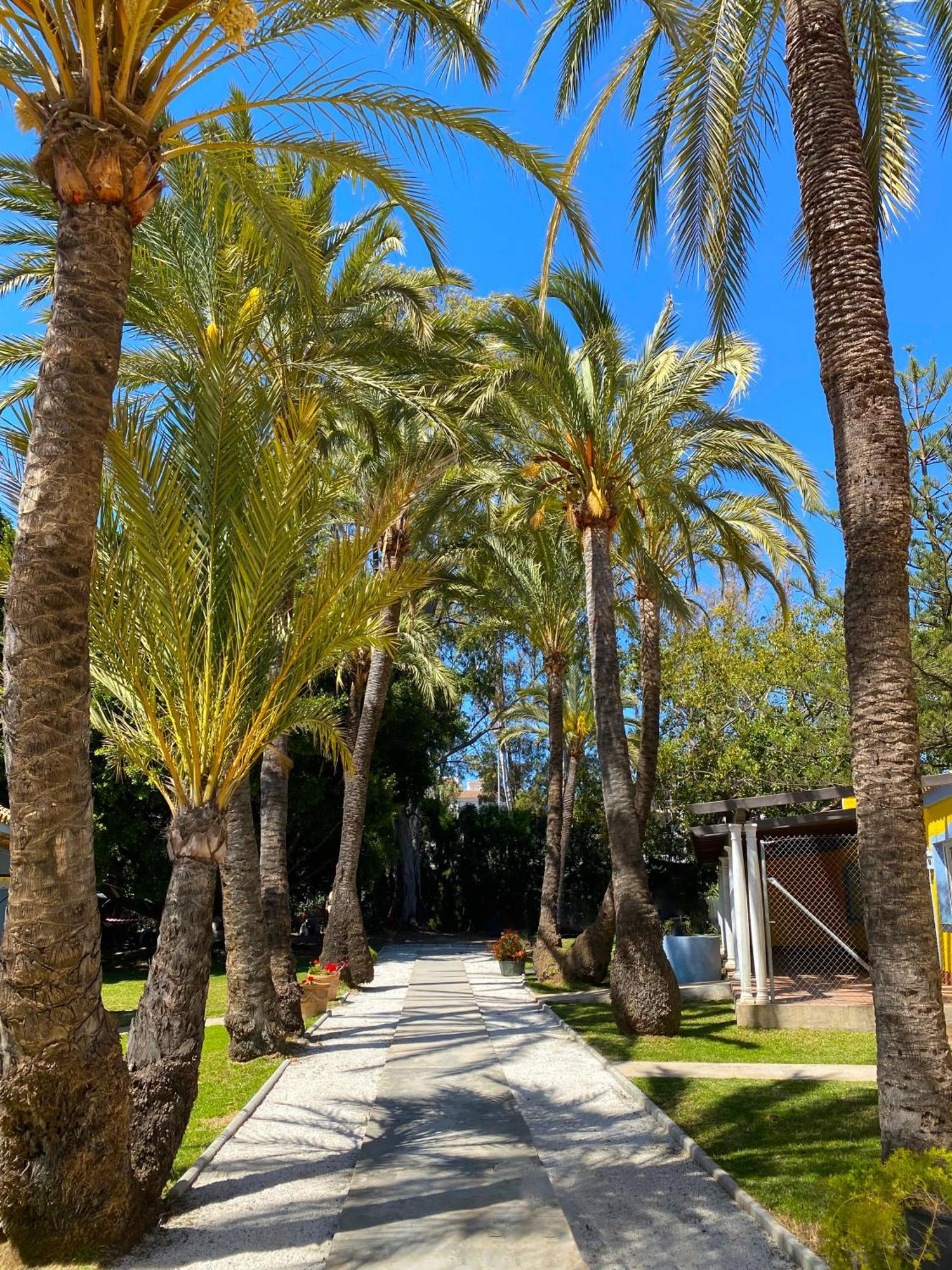 Cortijo La Saleta Banus Appartement Marbella Buitenkant foto
